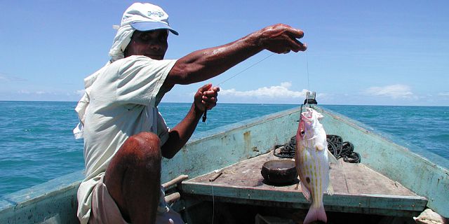 Fishing in the rodriguan lagoon (2)